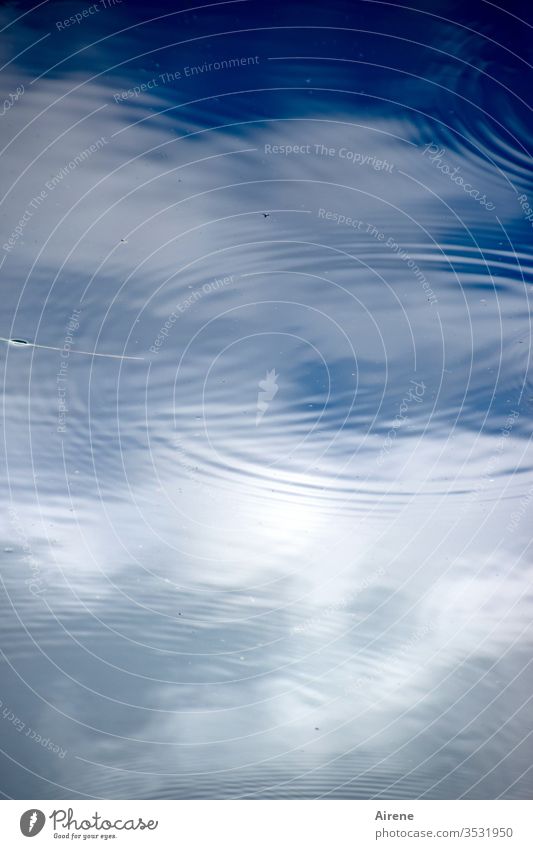 Regen bringt Segen Wasser Himmel Reflexion & Spiegelung See Teich Vogelperspektive Wetter Klima Regentropfen Tropfen Kreise blau weiß Wolken blauer Himmel