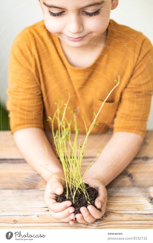 Kinderhände, die eine junge Pflanze halten landwirtschaftlich Ackerbau Hintergrund schön Beginn Bokeh Pflege Kindheit Konzept Erhaltung kultivieren