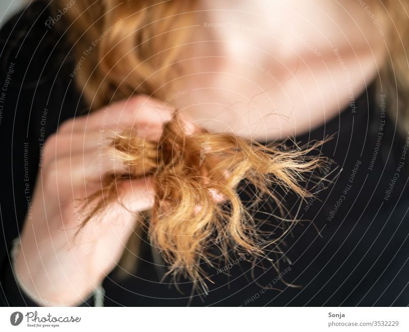 Nahaufnahme von langen Haaren mit Spliss sperren Haarschäden Haarpflege blond Lifestyle schön Hand Frau jung Teilabschntt