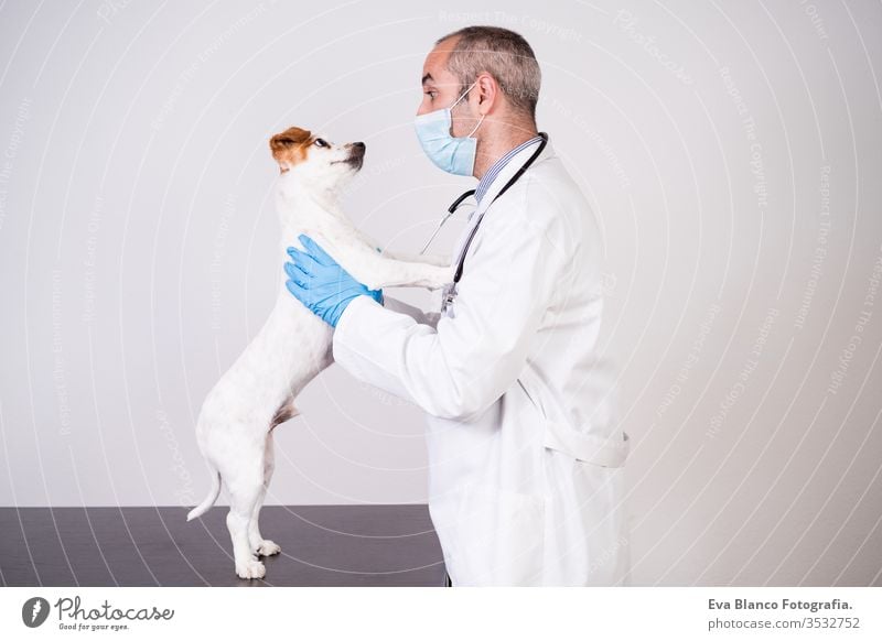 veterinärmediziner, der in der Klinik mit dem süßen kleinen Jack-Russell-Hund arbeitet. Trägt Schutzhandschuhe und Maske während der Quarantäne. Mann umarmt Hund .Gesundheitspflege für Haustiere