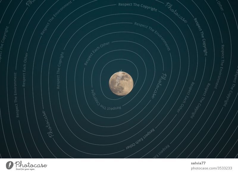 Vollmond Mond Nachthimmel Natur Himmel dunkel Mondschein Menschenleer Kontrast Mittelpunkt