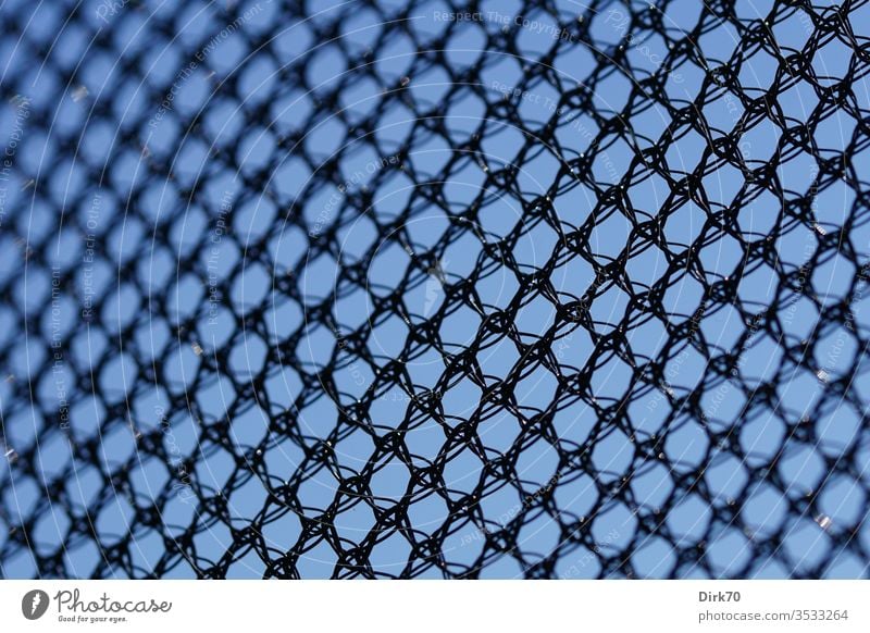 Netzwerk - Schutznetz eines Trampolins, Detailaufnahme netzartig vernetzt Maschen maschenware Kunststoff Plastik Abschirmung Farbfoto Menschenleer Außenaufnahme