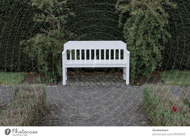 Ein ruhiges Plätzchen - weiße Bank zwischen zwei Büschen in einem Park Gartenbank Weg Busch Gewächs Rasen Schlosspark Oranienburg Ruhe ausruhen sitzen hinsetzen