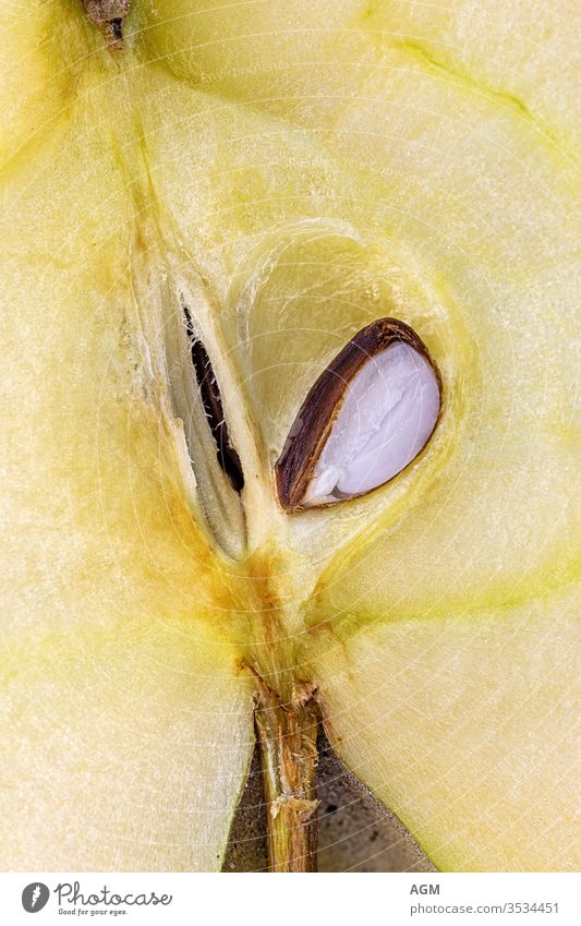 Extreme Nahaufnahme eines Apfels mit Kerngehäuse Lebensmittel schließen Farbbild halbieren lecker frisch Frische von oben Frucht Fruchtfleisch Hälfte Gesundheit