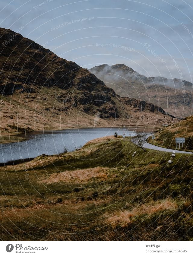 Straße am See in den Highlands von Schottland Schafe Natur Landschaft Menschenleer Großbritannien Außenaufnahme Wolken Berge u. Gebirge Europa Wasser Farbfoto