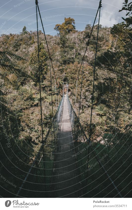 #As# Brückblick Brücke Hängebrücke Neuseeland Neuseeland Landschaft Abenteuer Wege & Pfade Überquerung Überqueren Regenwald