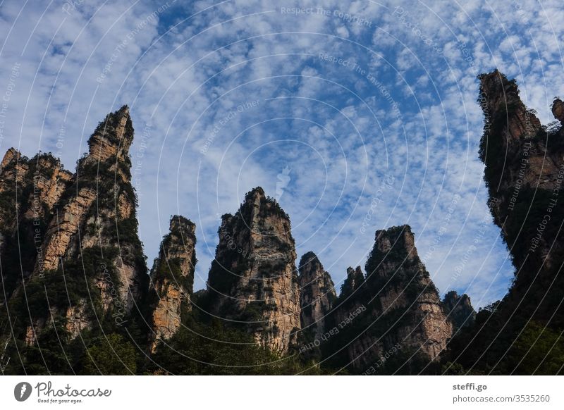 beeindruckende Felsen in Zhangjiajie, China bekannt aus dem Film Avatar Asien zhangjiajie Nationalpark Hunan Natur Farbfoto Landschaft Außenaufnahme Umwelt Tag