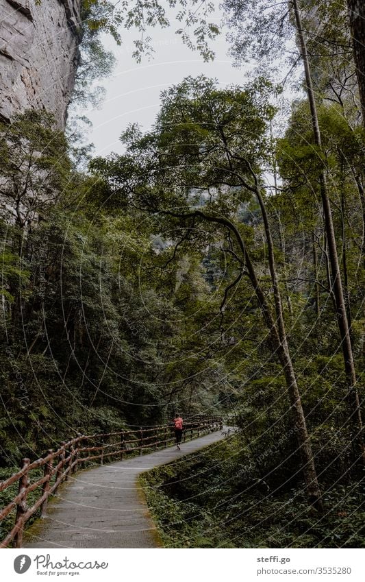 Frau geht auf einem Weg zwischen Felsen im Wald in China Asien zhangjiajie wandern spazieren spaziergang Sightseeing entspannung Ruhe Natur Landschaftsformen