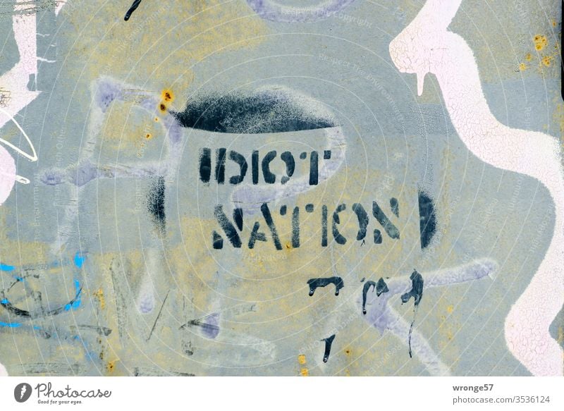 Idiot Nation - Graffito auf einer Hauswand II sprayen sprühen Farbe Schablonentechnik Graffiti Wand Farbfoto Menschenleer Tag Mauer Außenaufnahme Fassade