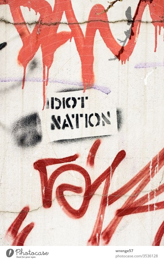 Idiot Nation - Graffito auf einer Hauswand sprayen sprühen Farbe Schablonentechnik Graffiti Wand Farbfoto Menschenleer Tag Mauer Außenaufnahme Fassade