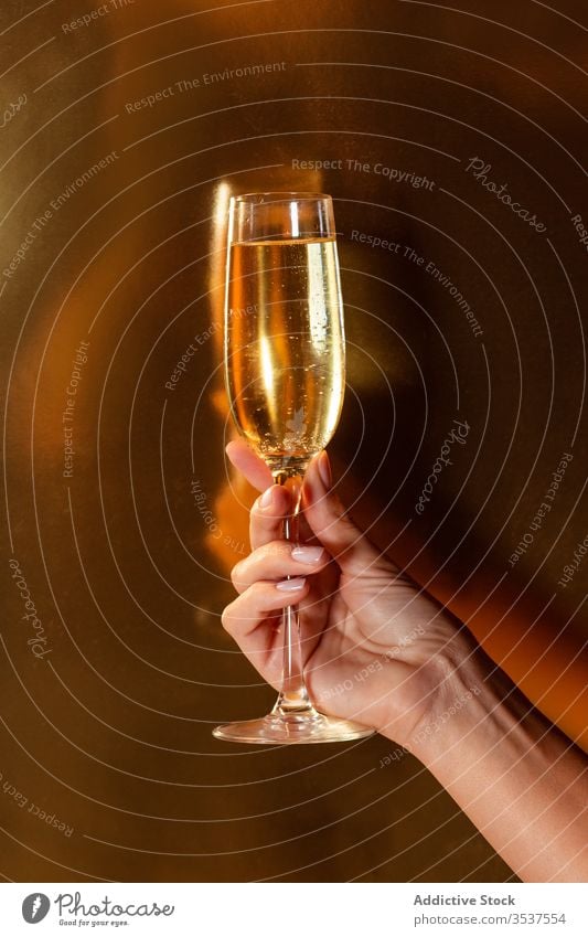 Erntehelfer hält Weinglas mit Champagner während der Party Hand Alkohol Halt trinken Veranstaltung Spaß jubelt unterhalten sich[Akk] sammeln Freund Erfrischung