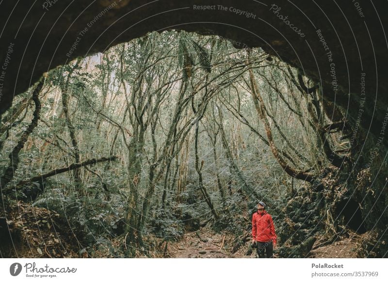 #AS# The Cave Höhle Wald Mensch Entdecker rote jacke Jacke Bogen Natur Erwachsene Porträt Außenaufnahme 18-30 Jahre Wurzeln Begeisterung Höhleneingang