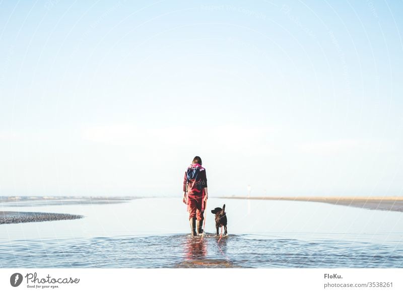 Frauchen geht mit Labrador im Wattenmeer spazieren Nordsee wattenmeer priel wasser nordseeküste himmel sonnenschein hund frau labrador wanderung wattwandern