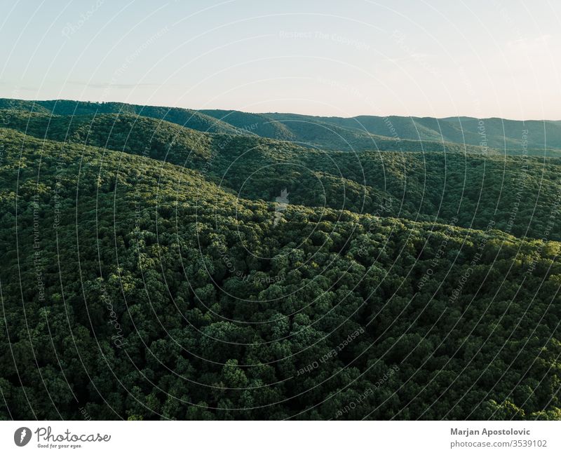 Blick auf den schönen Wald in den Bergen oben Antenne Hintergrund Schönheit Buchsbaum Erhaltung Landschaft Morgendämmerung Tag Abenddämmerung Ökologie Umwelt