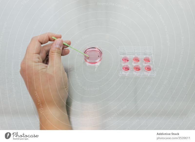 Pflanzendoktor füllt Brunnenplatte mit roter Flüssigkeit Arzt Labor Klinik liquide Tisch Injektor besetzen modern Werkzeug Substanz medizinisch Praktiker