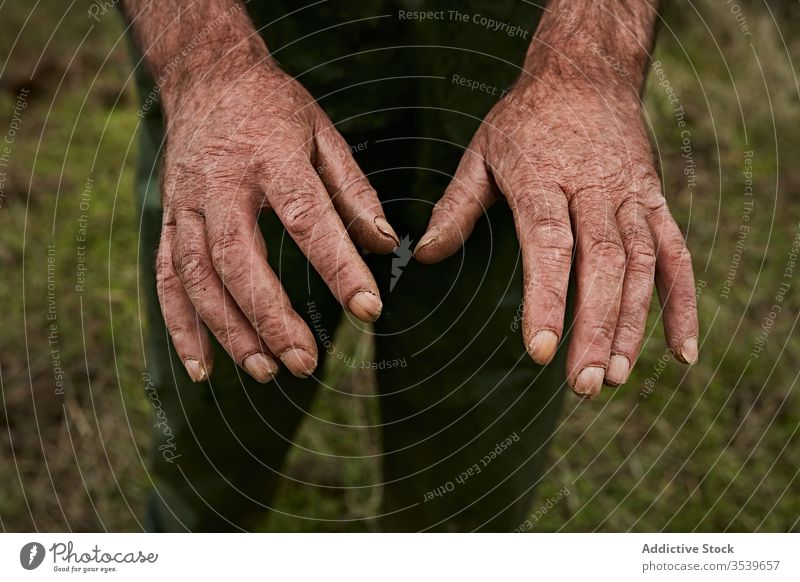 Erntehände eines älteren männlichen Arbeiters Mann Hände rau knittern Wehen zäh manuell El Hierro Kanarische Inseln Ackerland zeigend Körper alt gealtert