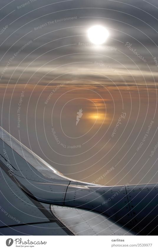Kluge Entscheidung Fliegen Flugzeug Airbus Boeing Luftverkehr Ferien & Urlaub & Reisen Passagierflugzeug Wolken Fenster Aussicht Triebwerk Flügel Tragfläche