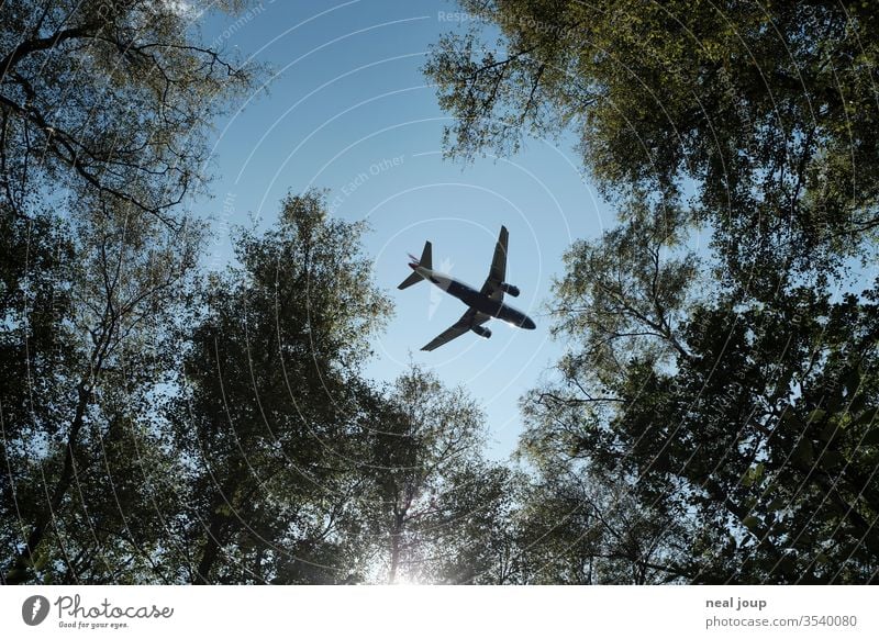 Flugzeug fliegt über Wald, Blick durch die Baumkronen Aussenaufnahme kontrast Klimakrise Umweltschutz Flugreise Natur Lärm Abgase Froschperspektive