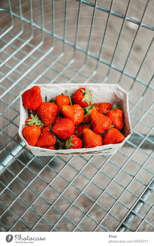 Eine Schale frische Erdbeeren in einem Einkaufswagen einkaufen Supermarkt Lebensmittel Obst Früchte reif Gesunde Ernährung lecker rot Frucht Erdbeerzeit Gitter