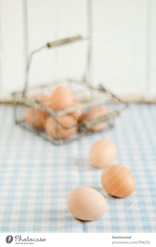 Eier Lebensmittel Ernährung Bioprodukte Vegetarische Ernährung frisch biologisch Foodfotografie Studioaufnahme Schwache Tiefenschärfe