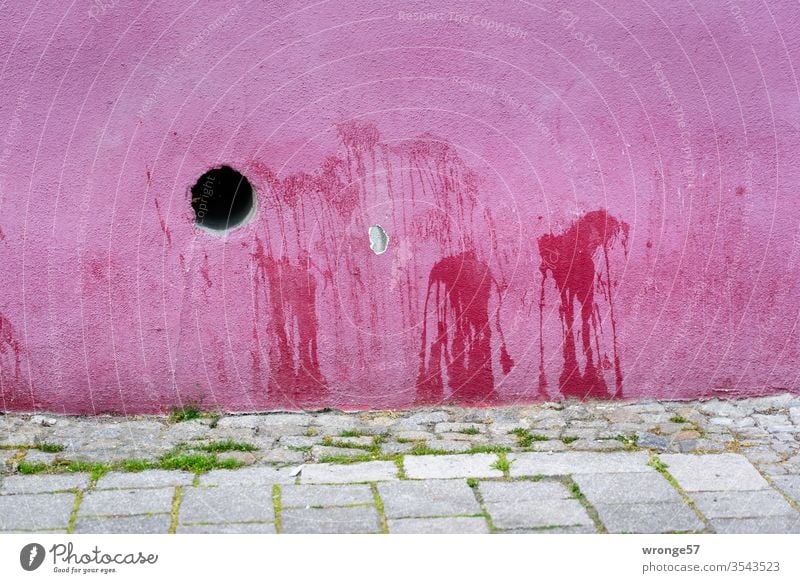 Flecke an einer pinken Hauswand Markierungen Uriniert Urinflecke Fassade Wand bunt Außenaufnahme Menschenleer Farbfoto Öffnung Tag Gehweg Fußweg Gras