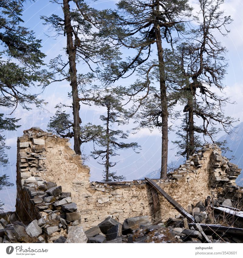 Mauerreste eines Hauses vor Bäumen Ruine Erdbeben eingestürzte Wände Nepal
