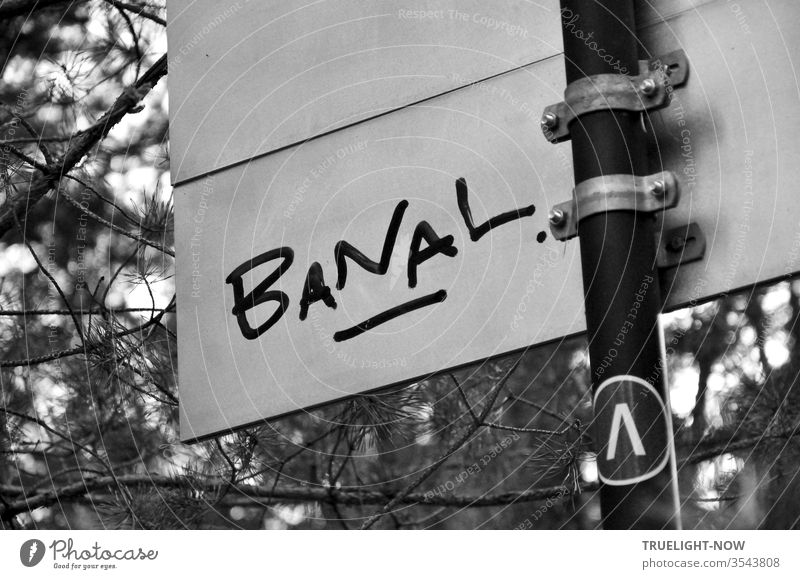 Wörtlich genommen | Ein Wörtchen mitreden... Auf der weissen Rückseite eines Schildes am Weg durch einen Kiefernwald hat jemand mit dickem schwarzen Filzstift das Wort BANAL geschrieben - in Grossbuchstaben, unterstrichen und mit Punkt.
