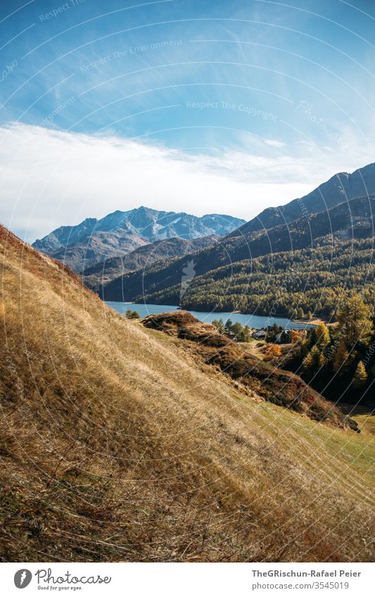 Blick auf see und Gebirge hang Wiese See Silvaplana silvaplanersee Wald Oberengadin Natur Landschaft wandern Menschenleer Berge u. Gebirge Alpen Wasser Himmel
