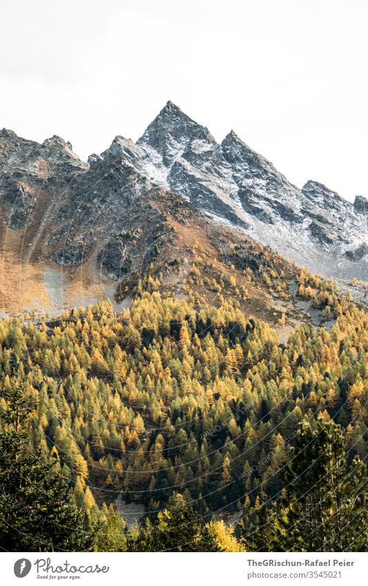 Wald und Gebirge Oberengadin Natur Landschaft wandern Menschenleer Berge u. Gebirge Alpen Himmel Schweiz