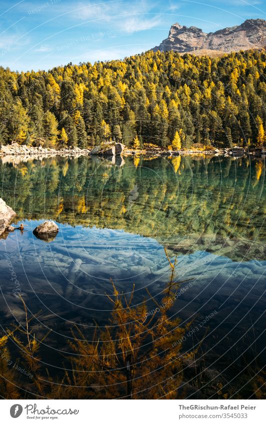 See vor Wald und Bergen Natur Landschaft wandern Menschenleer Berge u. Gebirge Alpen Schweiz Bergesee Lärche Herbst Bach Wasser klar glasklar Lärchen