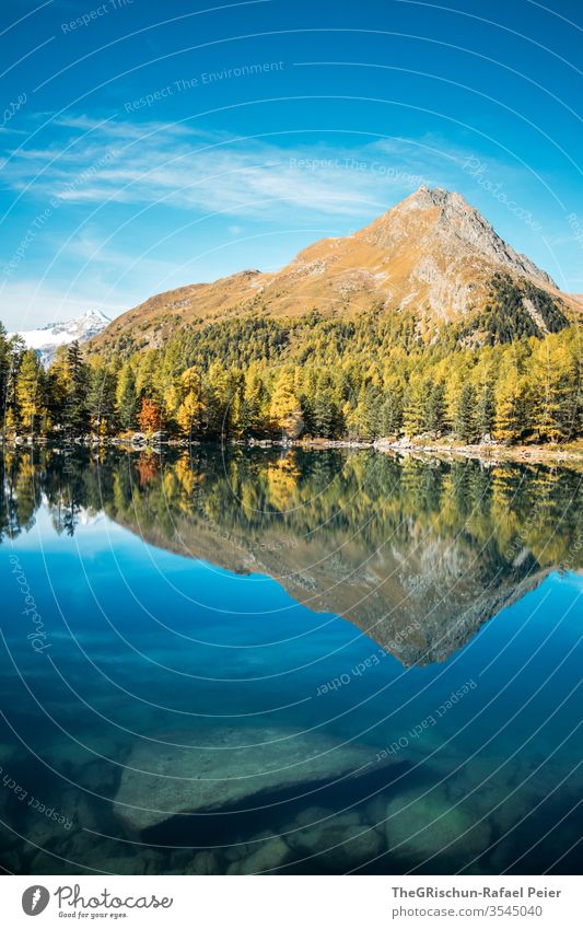 See mit Spiegelung Wald Natur Landschaft wandern Menschenleer Berge u. Gebirge Alpen Schweiz Bergesee Lärche Herbst Bach Wasser klar glasklar Lärchen
