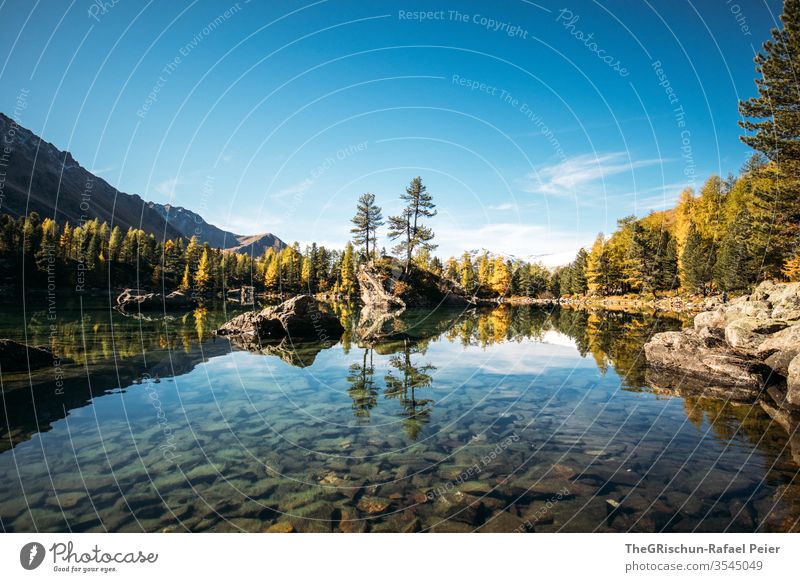 See mit Spiegelung umgeben von Wald Natur Landschaft wandern Menschenleer Berge u. Gebirge Alpen Schweiz Bergesee Lärche Herbst Bach Wasser klar glasklar