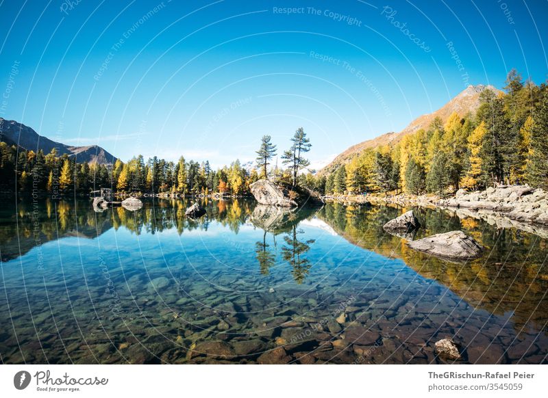 See mit Spiegelung umgeben von Wald Natur Landschaft wandern Menschenleer Berge u. Gebirge Alpen Schweiz Bergesee Lärche Herbst Bach Wasser klar glasklar