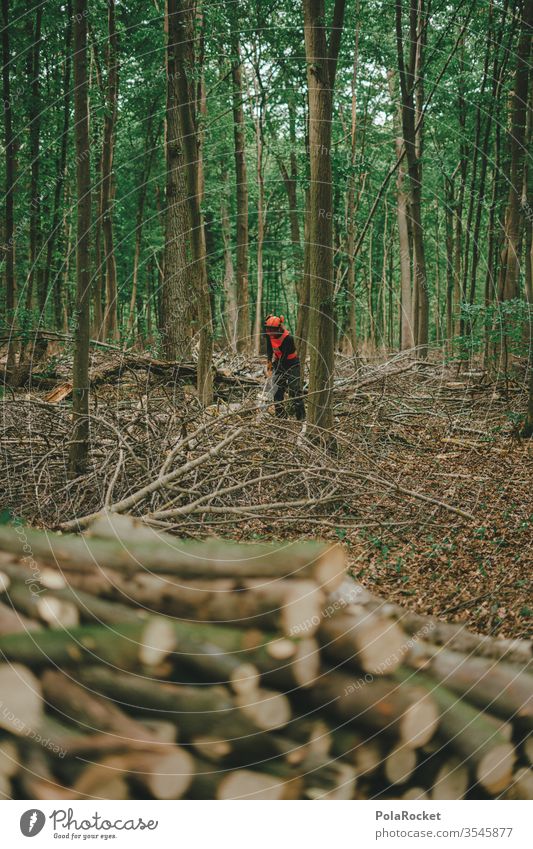 #S# Waldarbeiter Holz Brennholz Kettensäge Schutzausrüstung Helm Meter Buche Holzarbeiten Natur Baum Holzfäller Forstwirtschaft Baumstamm Abholzung Umwelt