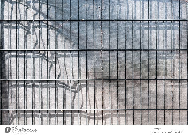 Zaun und Schatten Metallzaun Linie Schattenwurf Irritation Hintergrundbild Strukturen & Formen abstrakt Muster Gitter Barriere Absperrung sichtschutz