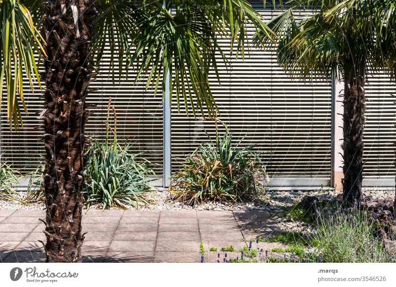 Naherholungsgebiet Rollladen Palme Sträucher Steinplatten Terrasse braun Erholung zuhause Sommer Hitze Stil geschlossen
