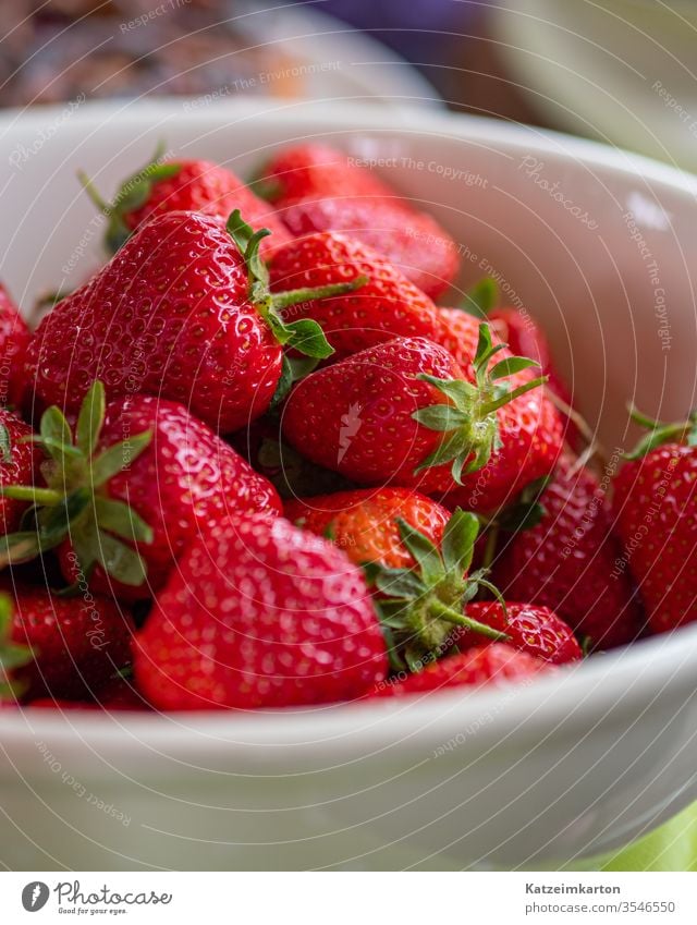 Erdbeere erdbeeren Menschengruppe saisonbedingt Snack Farbe Essen geschmackvoll Beeren grün Hintergrund saftig Erdbeeren reif süß Lebensmittel rot Frucht Sommer