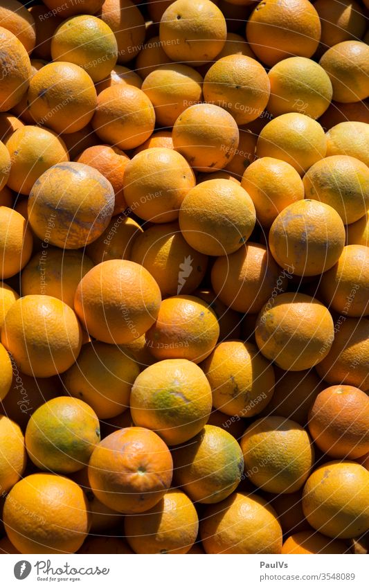 Orangen Aufsicht Orangen liegen am Boden nach Ernte orangen orangenernte frucht frische orangen obstbau Lebensmittel Gesundheit süß reif geerntet saftorangen