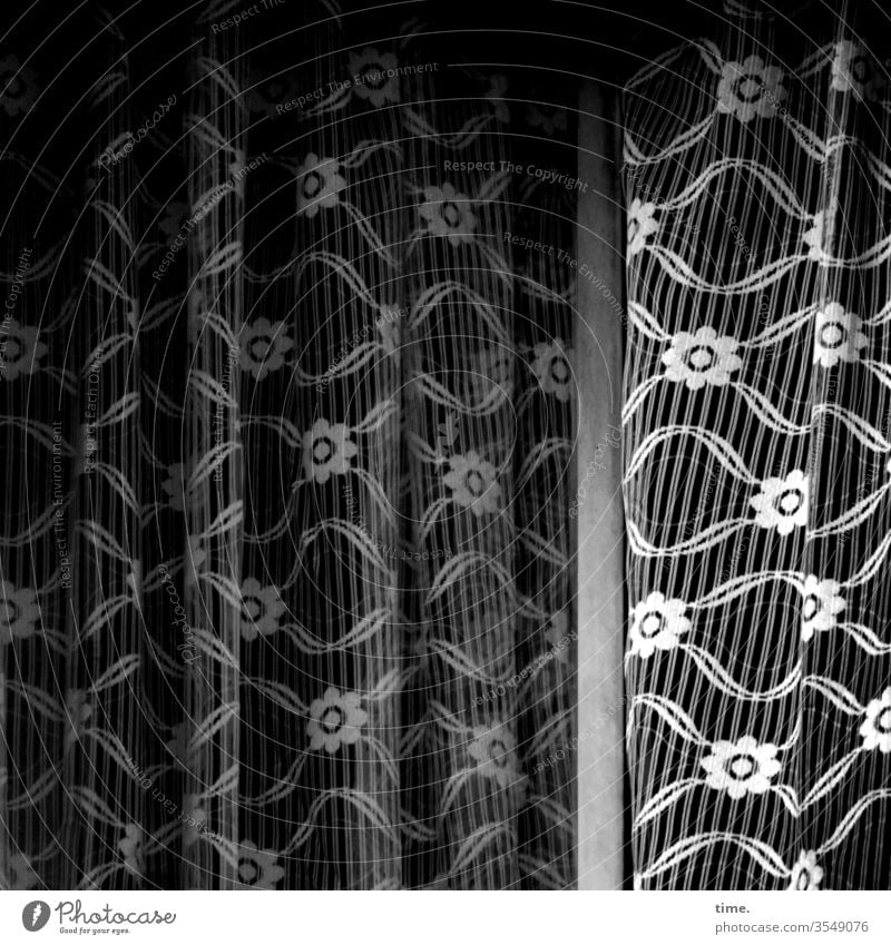 damals Vorhang Gardine Schwarzweißfoto muster struktur blümchen deko gewebt schatten fenster alt früher nostalgie design stoff textil