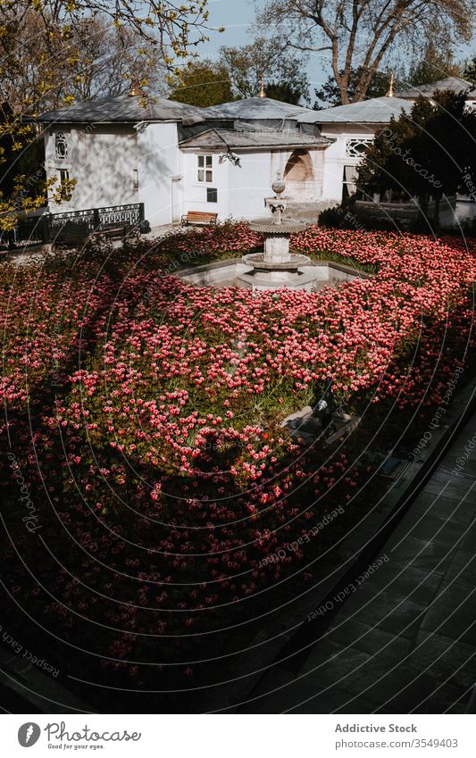 Leerlaufbrunnen in der Mitte eines großen Blumenbeets alt Springbrunnen Palast Garten besuchen Tulpe wunderbar farbenfroh Blütezeit Schatten duftig Haus frisch