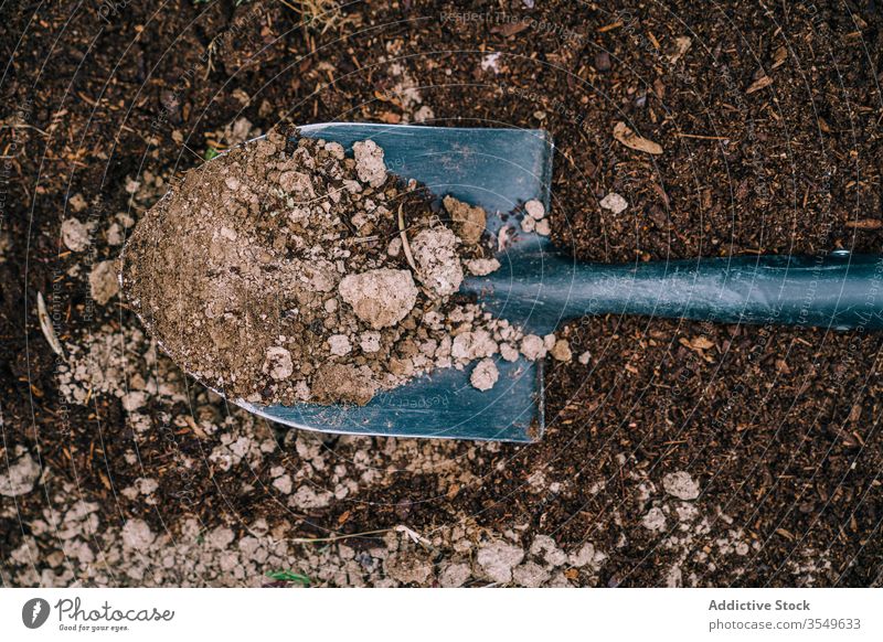 Schaufel mit Erde im Garten Boden schaufeln Instrument Gerät Bauernhof Graben Werkzeug kultivieren Spaten Landschaft Ackerbau Feld tagsüber Frühling Wachstum
