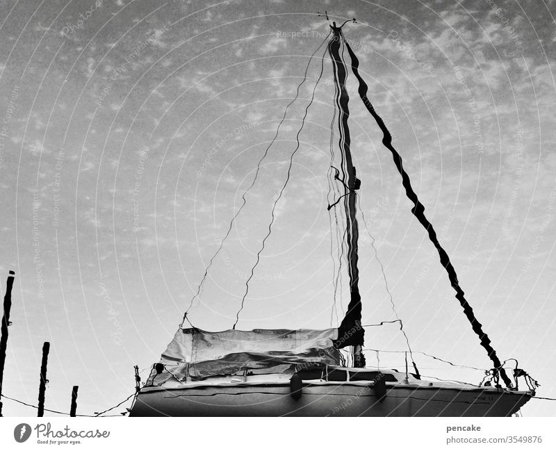 seeson Spiegelung Segelboot segeln Bodensee Sommer Wasser schwarz weiss Außenaufnahme Wasserfahrzeug See Ferien & Urlaub & Reisen Freiheit Wassersport Erholung