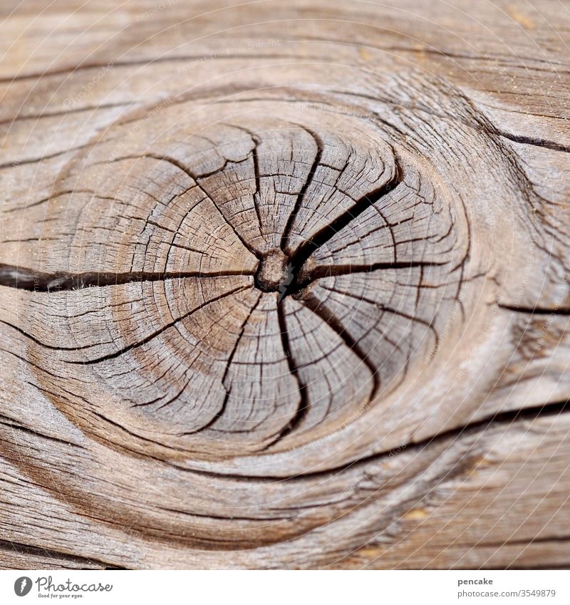 sterntaler trocken Astloch sternförmig Risse Nahaufnahme Holz alt Detailaufnahme Maserung verwittert Strukturen & Formen Außenaufnahme