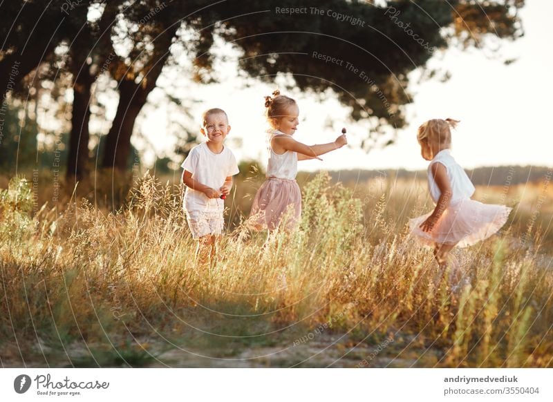 drei Kinder, die im Sommer auf dem Feld spielen. kleine Kinder, die draußen spielen und lächeln. glückliche Familie. sorglose Kindheit Fröhlichkeit Wiese