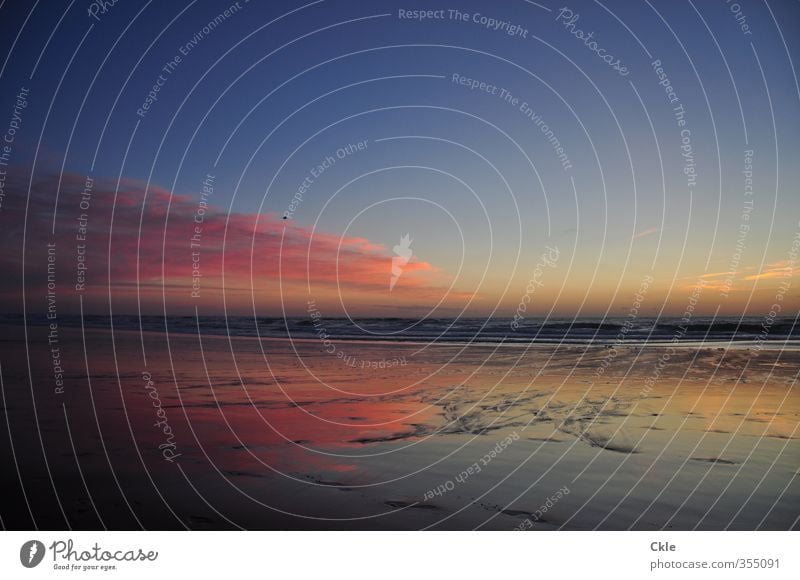Lacanau Ferien & Urlaub & Reisen Strand Meer Wellen Urelemente Sand Wasser Himmel Wolken Horizont Sonnenaufgang Sonnenuntergang Sonnenlicht Küste Frankreich