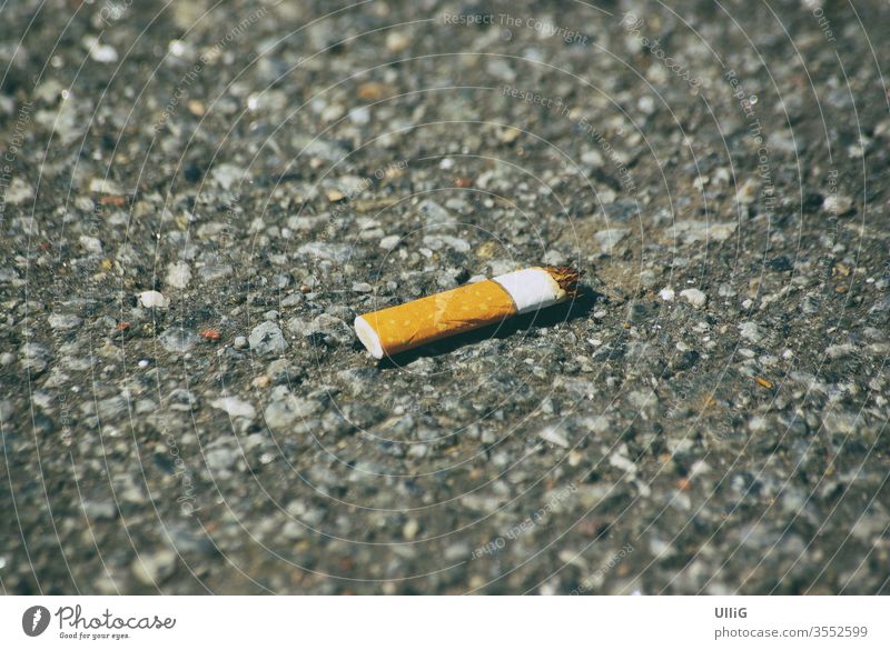 Plattgedrückter Zigarettenstummel - Die letzte Zigarette oder nur ein platt gedrückter Zigarettenstummel? Raucher Raucherlobby Antiraucherlobby Entwöhnung