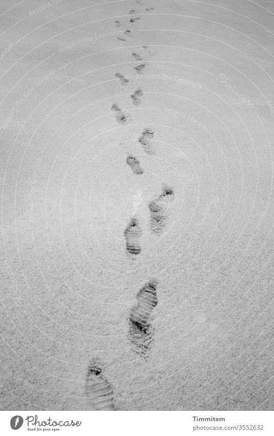 VorgängerIn im Winter Schnee Fußstapfen Schuhprofil Aussehen verfolgen gehen Kälte Spuren Fußspur Außenaufnahme Schwarzweißfoto