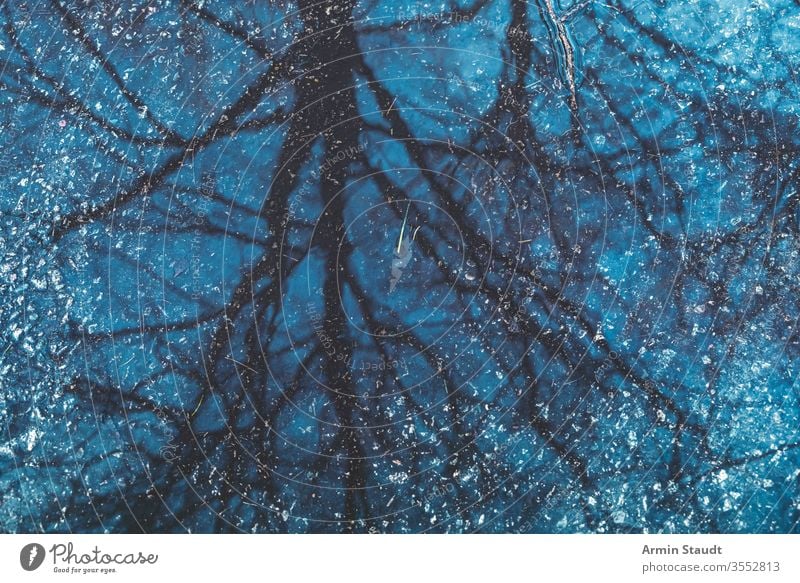 Spiegelung eines Baumes in einer Pfütze für Hintergründe reflektierend Wasser Verlassen abstrakt Asphalt Hintergrund blau Unschärfe verschwommen Ast