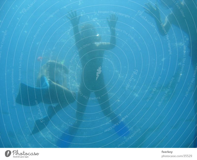 Schwimmer von unten Meer tauchen Mensch Graffiti Wasser Perspektive