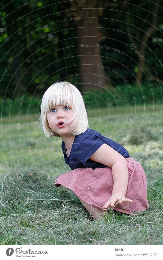 Heumadl Ernte Mädchen Kind sitzen hocken Körperhaltung Gestik Wiese Gras Natur natürlich ländlich Feld Kindheit staunen erstaunt Neugier neugierig Glück